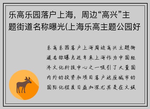 乐高乐园落户上海，周边“高兴”主题街道名称曝光(上海乐高主题公园好玩吗)