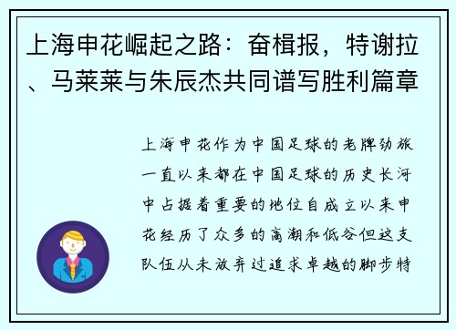 上海申花崛起之路：奋楫报，特谢拉、马莱莱与朱辰杰共同谱写胜利篇章